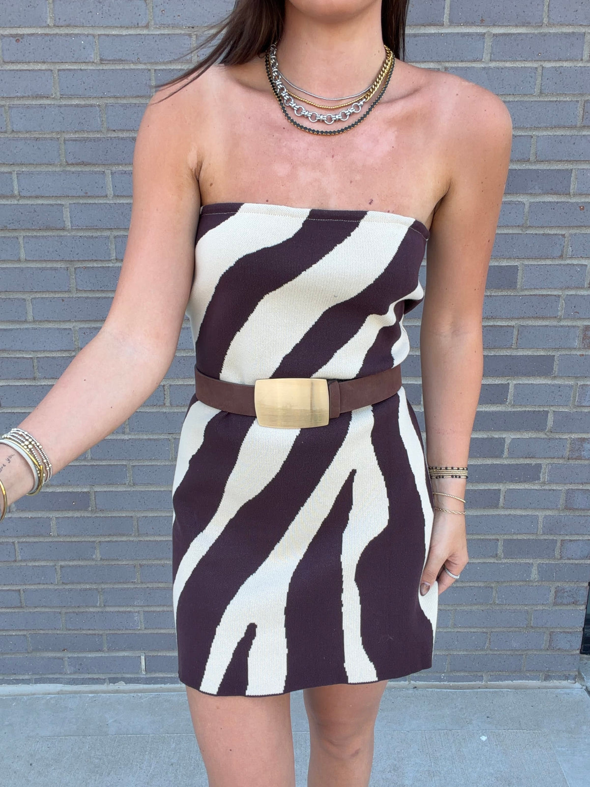 Talia Zebra Mini Dress