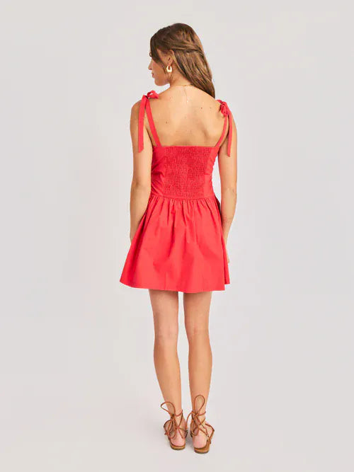 Canyon Pintuck Mini Dress