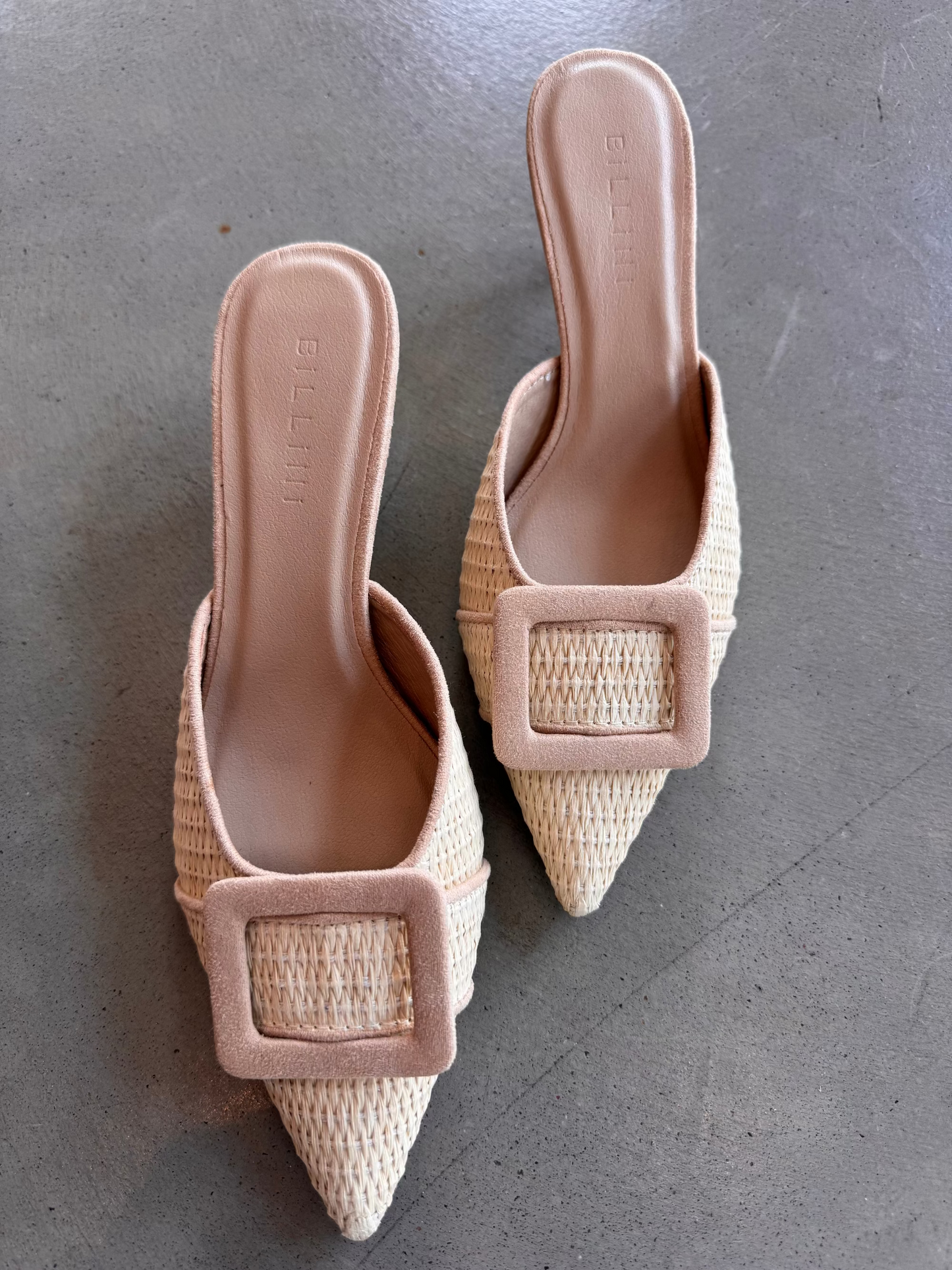 Yorkie Heel