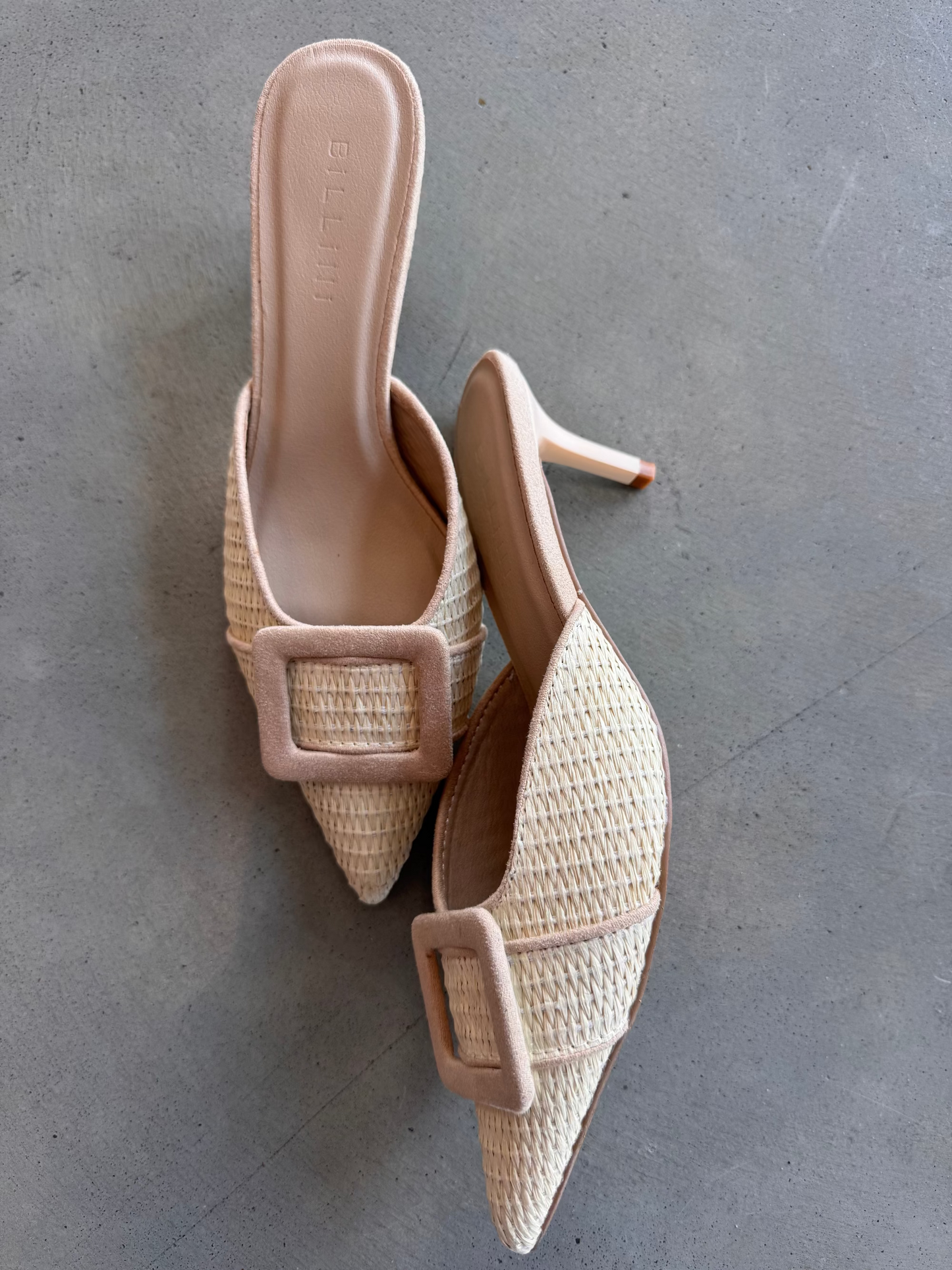 Yorkie Heel