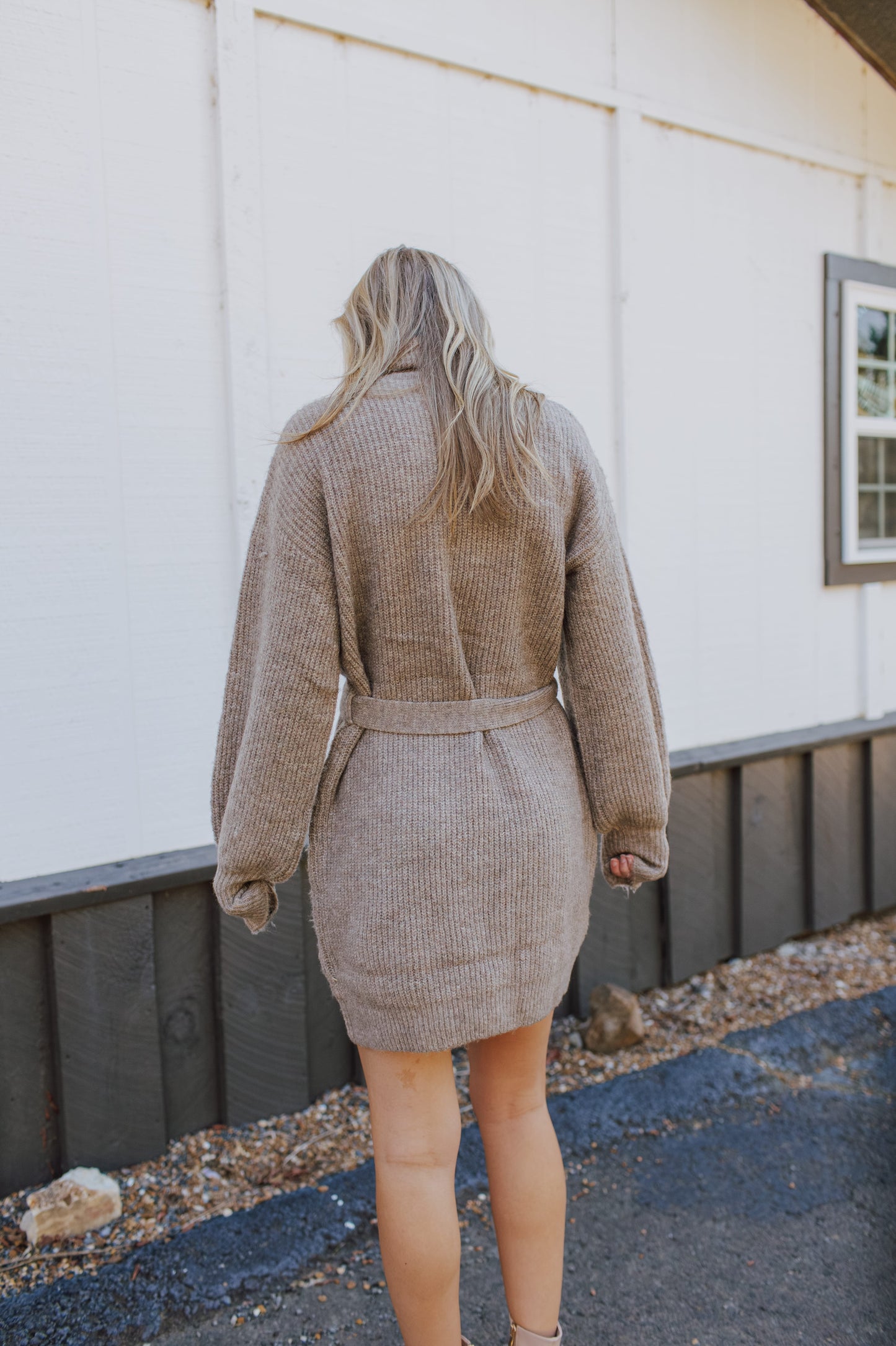 Audrina Turtleneck Sweater Dress