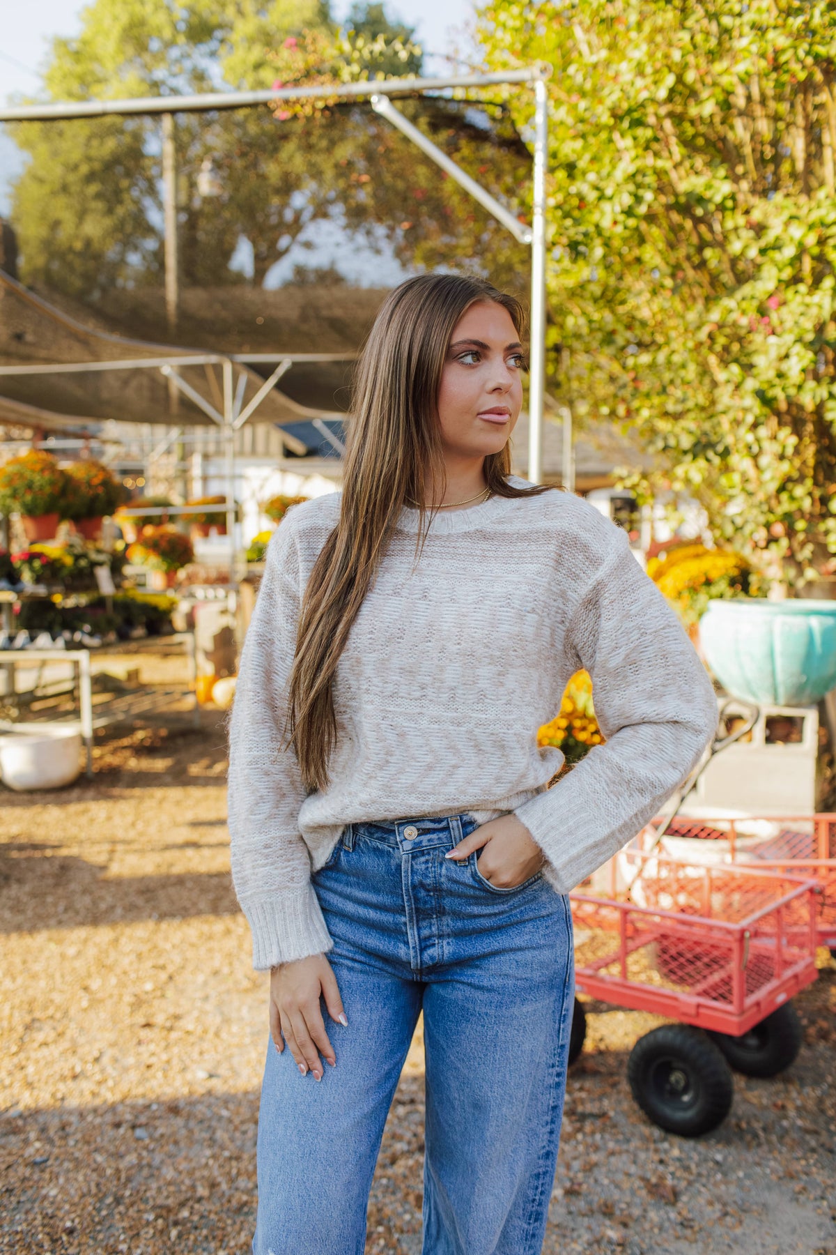 Spotless Reverse Stitch Crew Neck Sweater